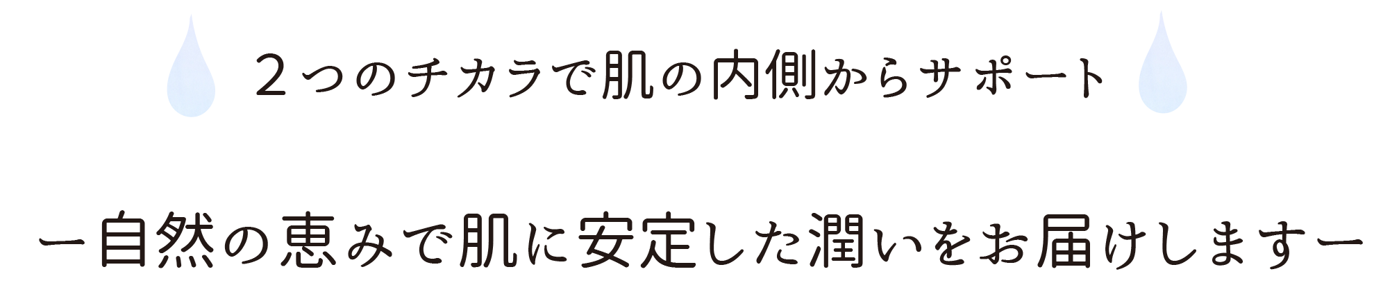 e^Cg