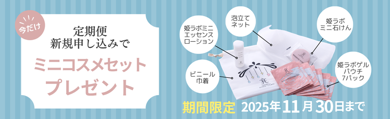 定期便